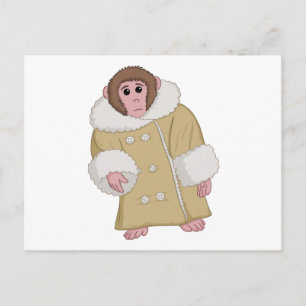 Cartão Postal Darwin que Ikea Monkey