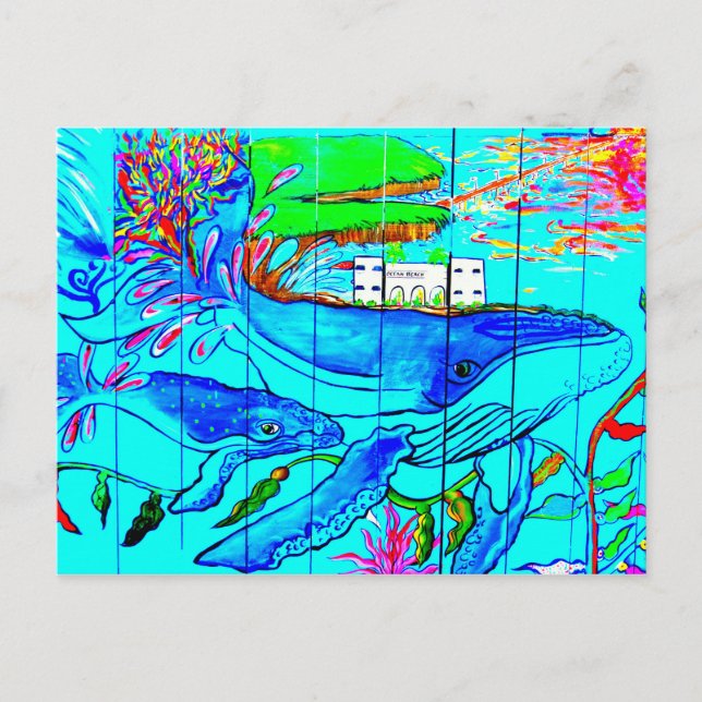 cartão postal das baleias jubarte (Frente)