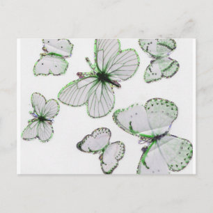 cartão postal das borboletas