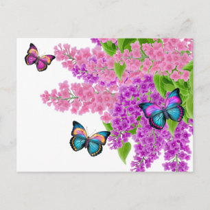 Cartão postal das borboletas Lilacs