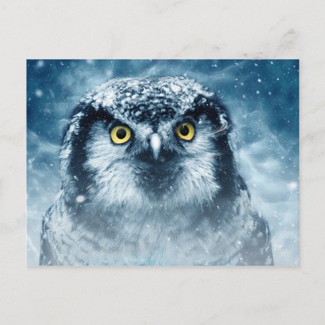 cartão postal das corujas de inverno (Frente)