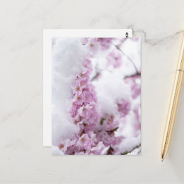 Cartão Postal das Flores