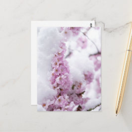 Cartão Postal das Flores