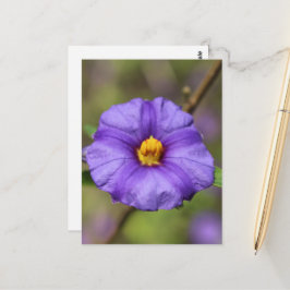 Cartão Postal das Flores