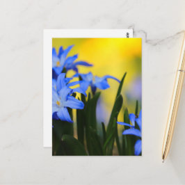 Cartão Postal das Flores