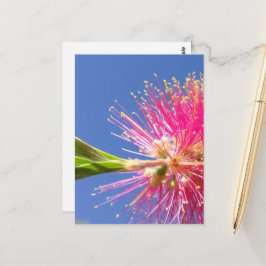 Cartão Postal das Flores