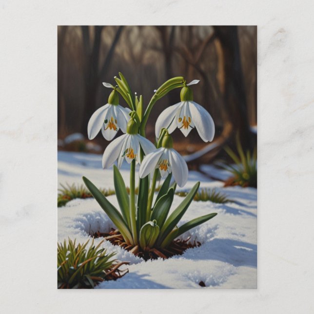Cartão postal das flores de queda de neve (Frente)