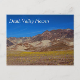 Cartão Postal das Flores do Vale da Morte