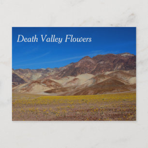 Cartão Postal das Flores do Vale da Morte