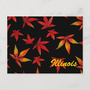 Cartão Postal das Folhas de Outono de Illinois
