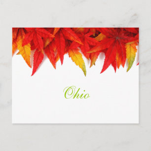 Cartão Postal das Folhas de Outono de Ohio