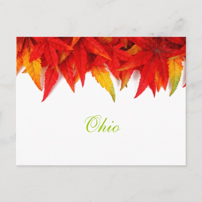Cartão Postal das Folhas de Outono de Ohio (Frente)