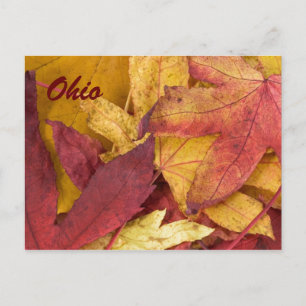 Cartão Postal das Folhas de Outono de Ohio