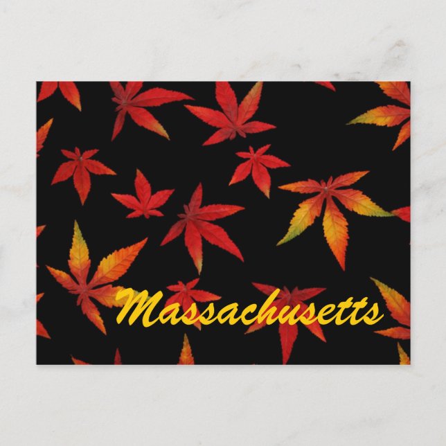 Cartão postal das Folhas do outono de Massachusett (Frente)