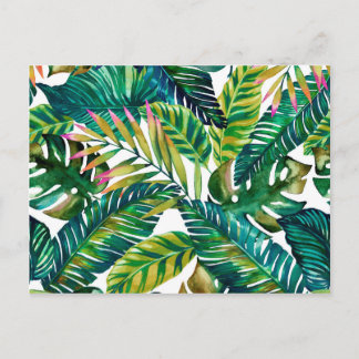 cartão postal das folhas verdes tropicais
