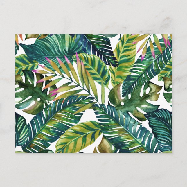 cartão postal das folhas verdes tropicais (Frente)