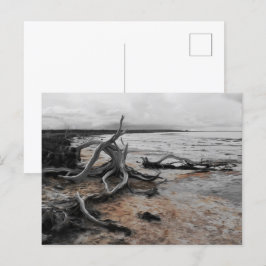 Cartão postal das Forças Naturais do Lago Tyrrell