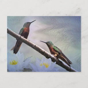 Cartão Postal das Gemas