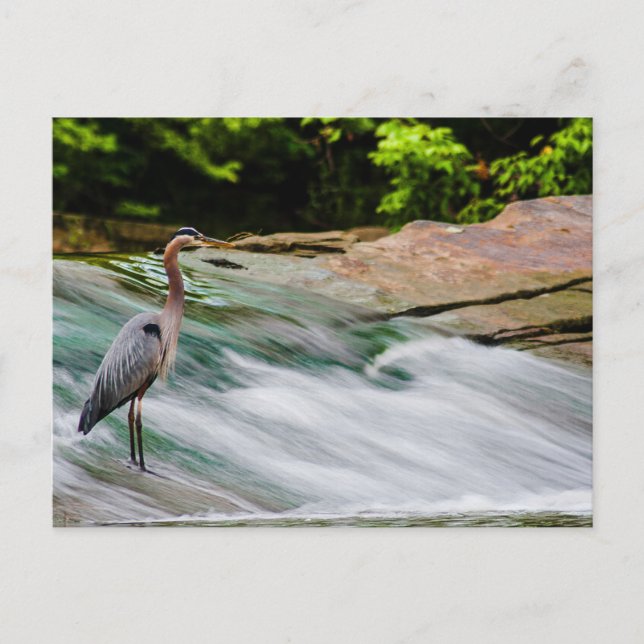 Cartão Postal David Fortier River Park, Olmsted Falls, Ohio (Frente)