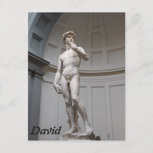 Cartão Postal David por Michelangelo - Florença