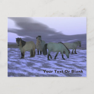 Cartão Postal Dawn Horse