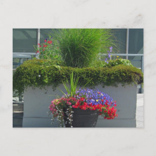 Cartão postal de 2013 Flores