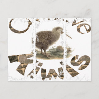 Cartão postal de 3 caixas sujas