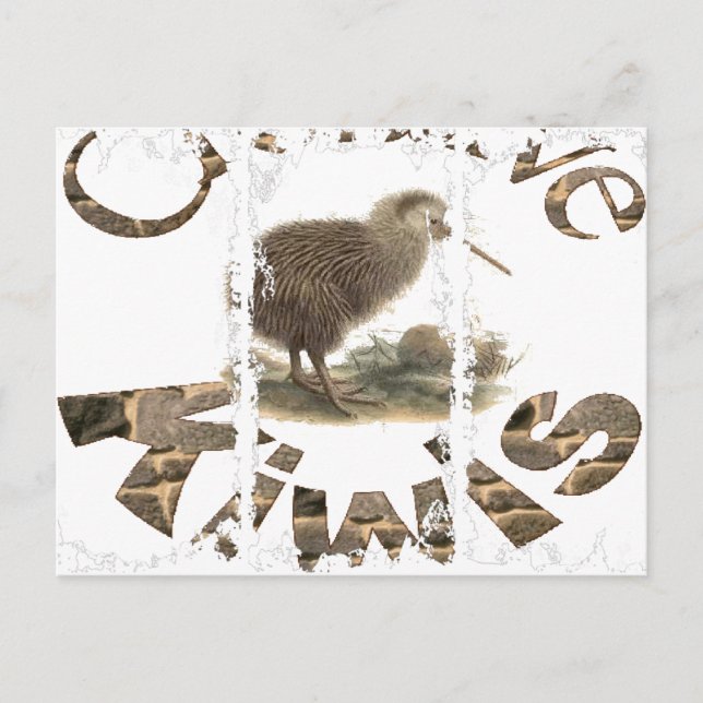 Cartão postal de 3 caixas sujas (Frente)