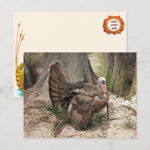 Cartão postal de Ação de Graças para a Turquia