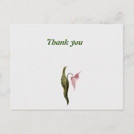 cartão postal de agradecimento 
