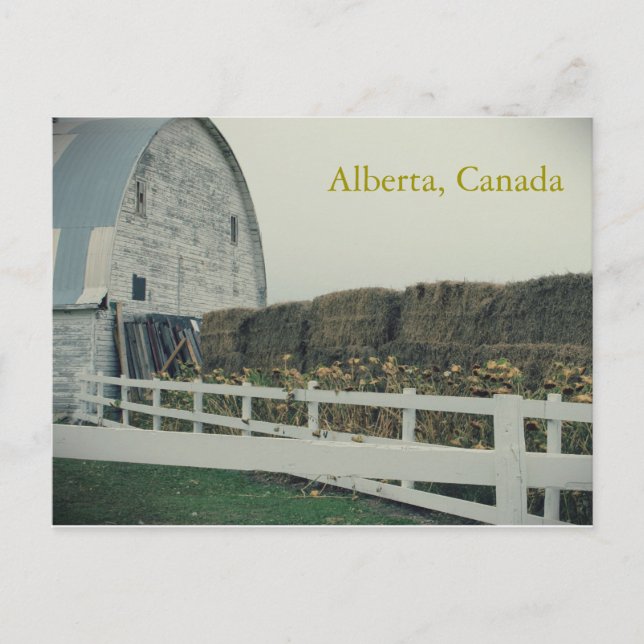 Cartão postal de Alberta Rural (Frente)