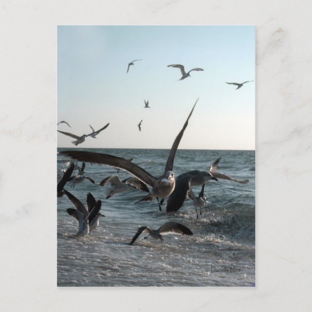 Cartão postal de alimentação francês (Frente)