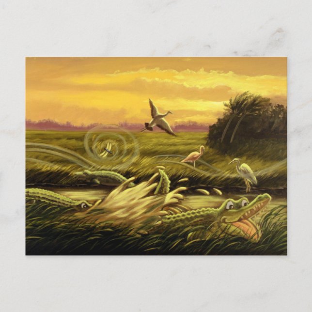 Cartão postal de Alligadores da Flórida (Frente)