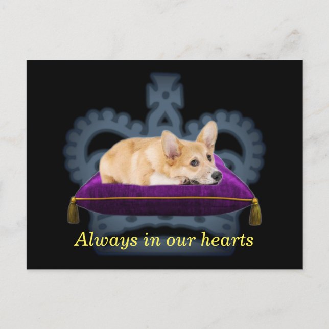 Cartão postal de almofada corgi rainha personalizá (Frente)