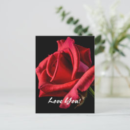 Cartão Postal de Amor