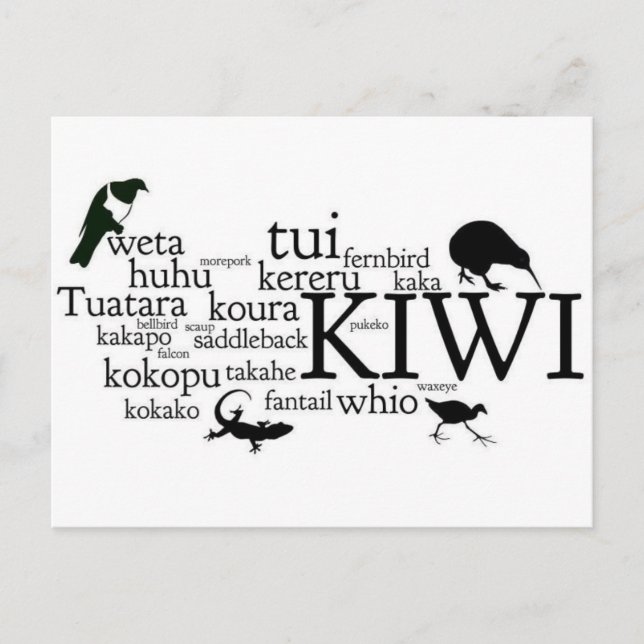 Cartão postal de animais da Nova Zelândia (Frente)