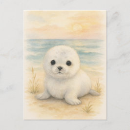 Cartão postal de animais selvagens bebê foca jovem