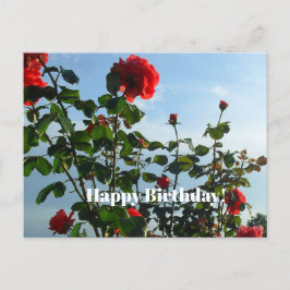 Cartão postal de aniversário