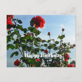 Cartão postal de aniversário