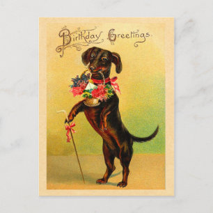 Cartão postal de aniversário de Dachshund