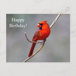 Cartão postal de aniversário feliz