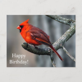 Cartão postal de aniversário feliz