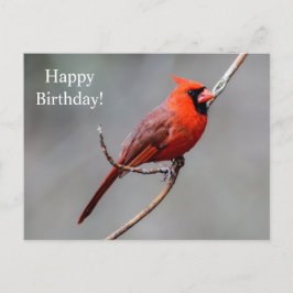 Cartão postal de aniversário feliz