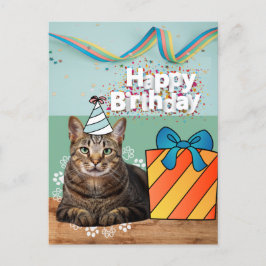 Cartão postal de aniversário para gato