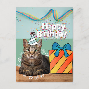 Cartão postal de aniversário para gato
