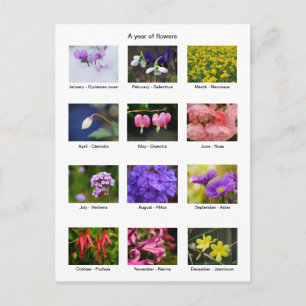 Cartão postal de ano de flores