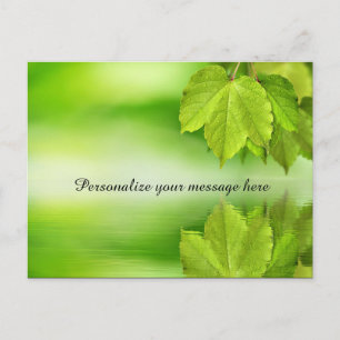 Cartão Postal De Anúncio A natureza verde sae do orvalho personalizado