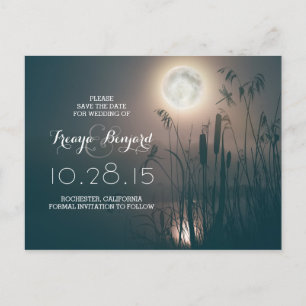 Cartão Postal De Anúncio a noite & os cattails da Lua cheia da libélula