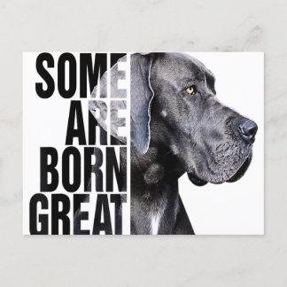 Cartão Postal De Anúncio Alguns Nascem Para Ser Amantes de Great Dane Prese