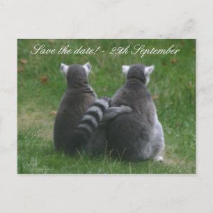 Cartão Postal De Anúncio Amor de Lemur! ... Salve a data!